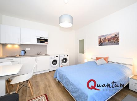 DSC_6557_00001_01 | Pronájem bytu, 1+kk, 30 m²