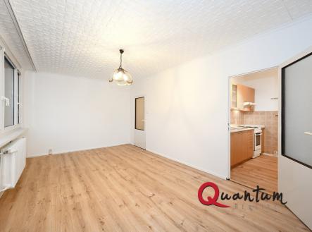 DSC_9648_00001_02 | Pronájem bytu, 2+1, 56 m²