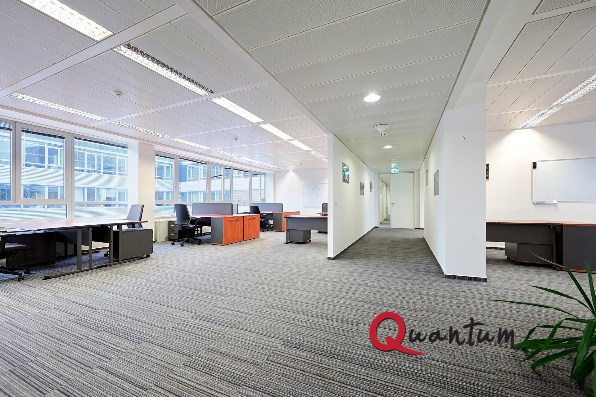 DSC_1330_00001_1_00001_2_00001_3_00001_Fusion-Natural