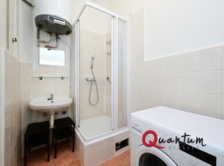 DSC_2948 | Pronájem bytu, 2+kk, 45 m²