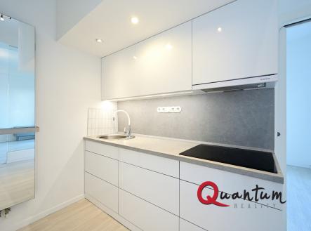 DSC_4534_00001 | Pronájem bytu, 2+kk, 55 m²