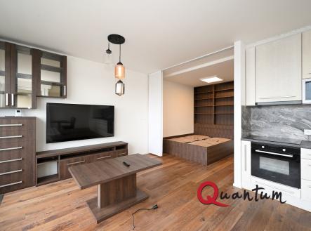 DSC_9167_00001 | Pronájem bytu, 1+kk, 59 m²