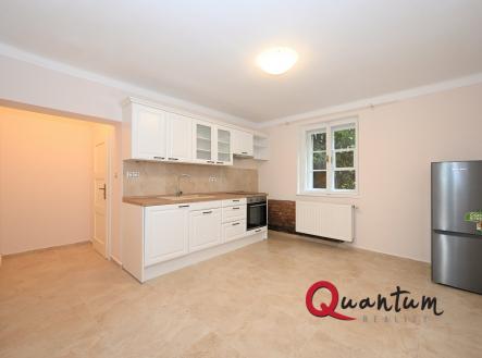 DSC_5159_00001 | Pronájem bytu, 1+1, 46 m²