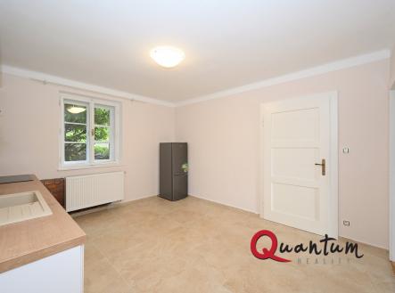 DSC_5162_00001 | Pronájem bytu, 1+1, 46 m²