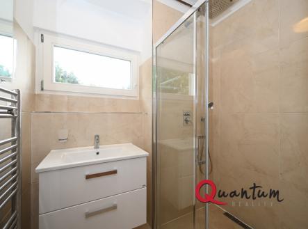 DSC_5142_00001_01 | Pronájem bytu, 1+1, 46 m²