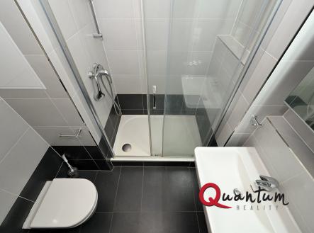 DSC_8897_00001 | Pronájem bytu, 2+kk, 88 m²