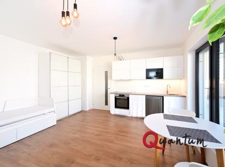 DSC_6164_00001 | Pronájem bytu, 1+kk, 31 m²