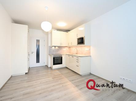 DSC_2530_00001 | Pronájem bytu, 1+kk, 27 m²