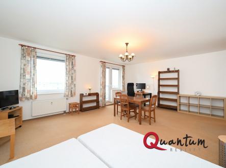 DSC_6796_00001 | Pronájem bytu, 1+kk, 52 m²