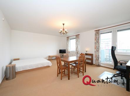 DSC_6794_00001 | Pronájem bytu, 1+kk, 52 m²