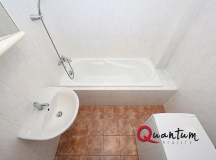 DSC_6770_00001 | Pronájem bytu, 1+kk, 52 m²