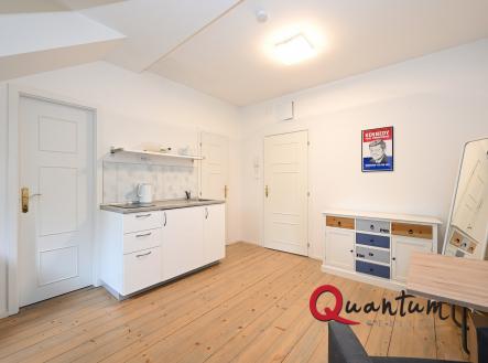 DSC_4180_00001_01 | Pronájem bytu, 1+kk, 23 m²