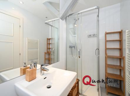 DSC_4170_00001 | Pronájem bytu, 1+kk, 23 m²