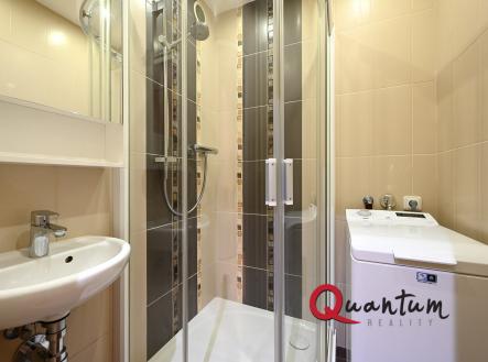 DSC_5003_00001 | Pronájem bytu, 2+1, 58 m²