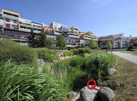 DSC_8053_00001 | Pronájem bytu, 2+kk, 50 m²