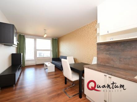 DSC_8024_00001_01 | Pronájem bytu, 2+kk, 50 m²