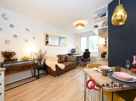 DSC_0598_00001 | Pronájem bytu, 2+kk, 49 m²