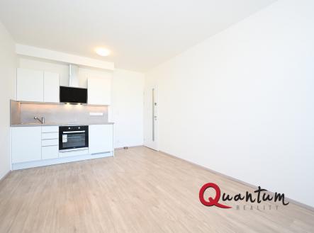 DSC_8526 | Pronájem bytu, 1+kk, 35 m²