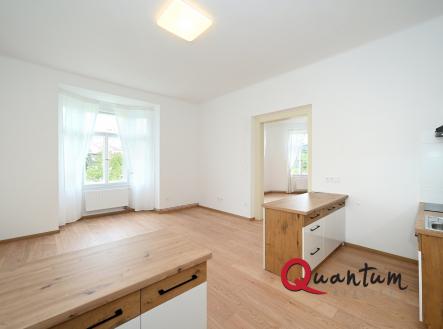 1 (3) | Pronájem bytu, 2+kk, 65 m²