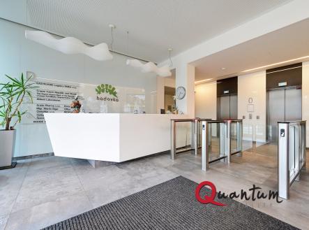 Pronájem - kanceláře, 503 m² obrázek