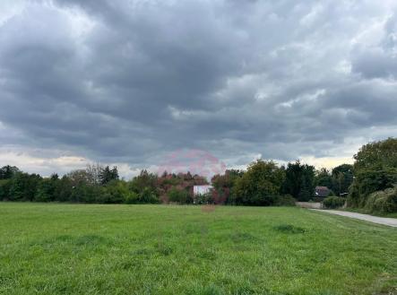 foto: 3 | Prodej - pozemek pro bydlení, 6 974 m²