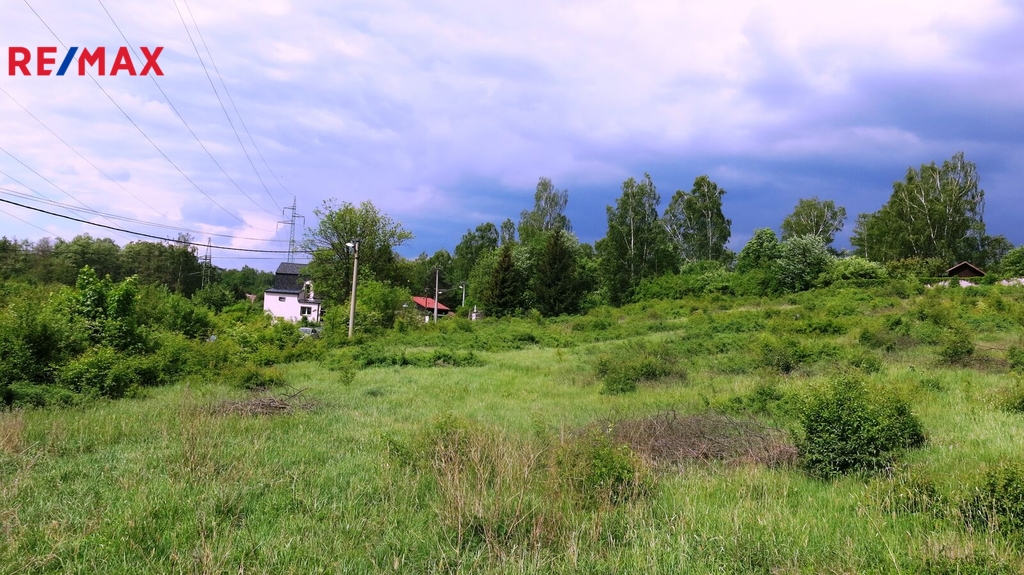 img-6877.jpg