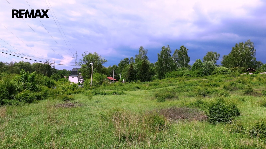img-6877.jpg