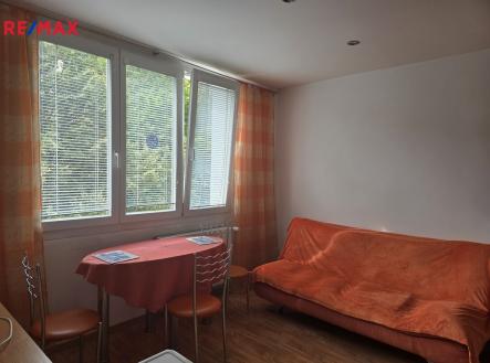 20250924-115558.jpg | Pronájem bytu, 1+1, 46 m²