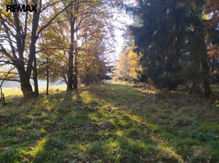 viber-image-2026-03-13-13-28-09-561.jpg | Prodej - pozemek, trvalý travní porost, 20 332 m²