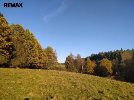 viber-image-2026-03-13-13-28-07-458.jpg | Prodej - pozemek, trvalý travní porost, 20 332 m²