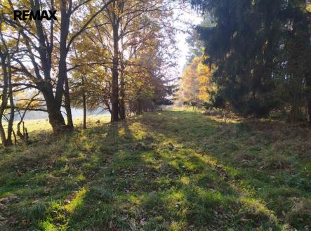 viber-image-2026-03-13-13-28-10-199.jpg | Prodej - pozemek, trvalý travní porost, 20 332 m²