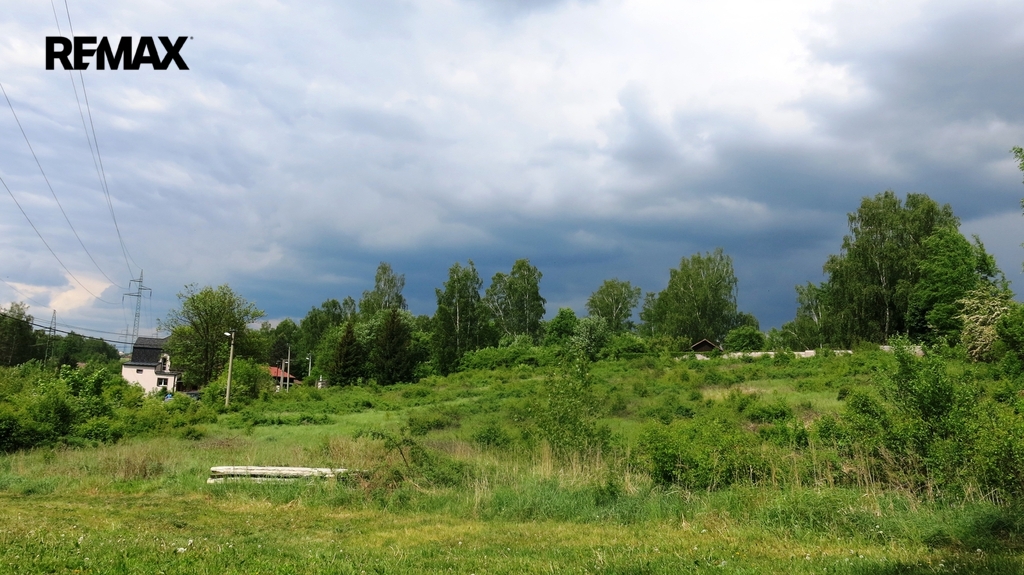 img-6876.jpg
