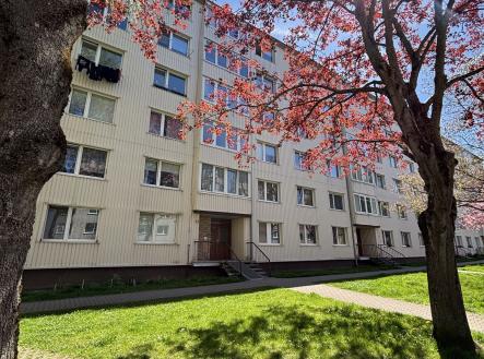 Prodej bytu, 2+1, 49 m² obrázek