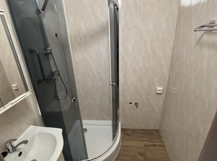 Pronájem bytu, 1+1, 44 m²