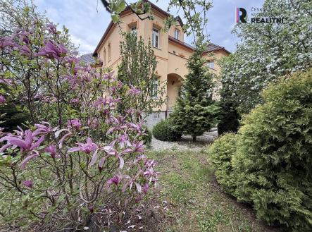 Prodej - dům/vila, 500 m²
