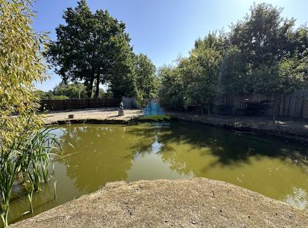 foto: 4 | Prodej - pozemek pro bydlení, 1 217 m²