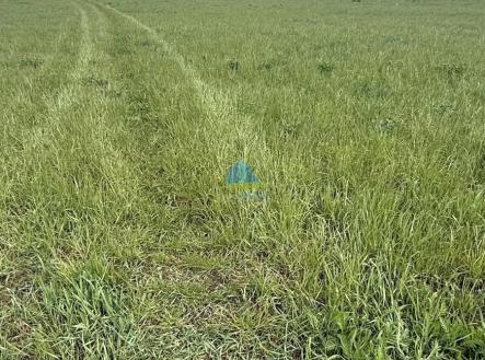 foto: 2 | Prodej - pozemek, zemědělská půda, 584 m²
