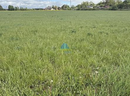 foto: 3 | Prodej - pozemek, zemědělská půda, 584 m²