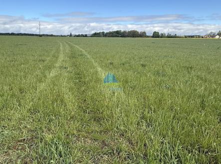 foto: 4 | Prodej - pozemek, zemědělská půda, 584 m²
