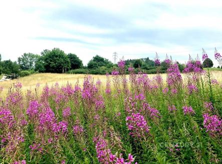 . | Prodej - pozemek pro bydlení, 977 m²