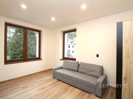 . | Pronájem bytu, 1+1, 35 m²