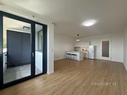 obývací pokoj s kk, lodžie | Pronájem bytu, 1+kk, 41 m²