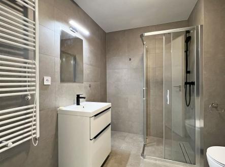 koupelna | Pronájem bytu, 1+kk, 41 m²