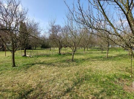 foto: 3 | Prodej - pozemek pro bydlení, 1 334 m²