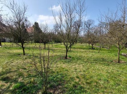 foto: 4 | Prodej - pozemek pro bydlení, 1 334 m²