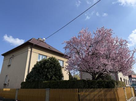 foto: 1 | Prodej - dům/vila, 429 m²