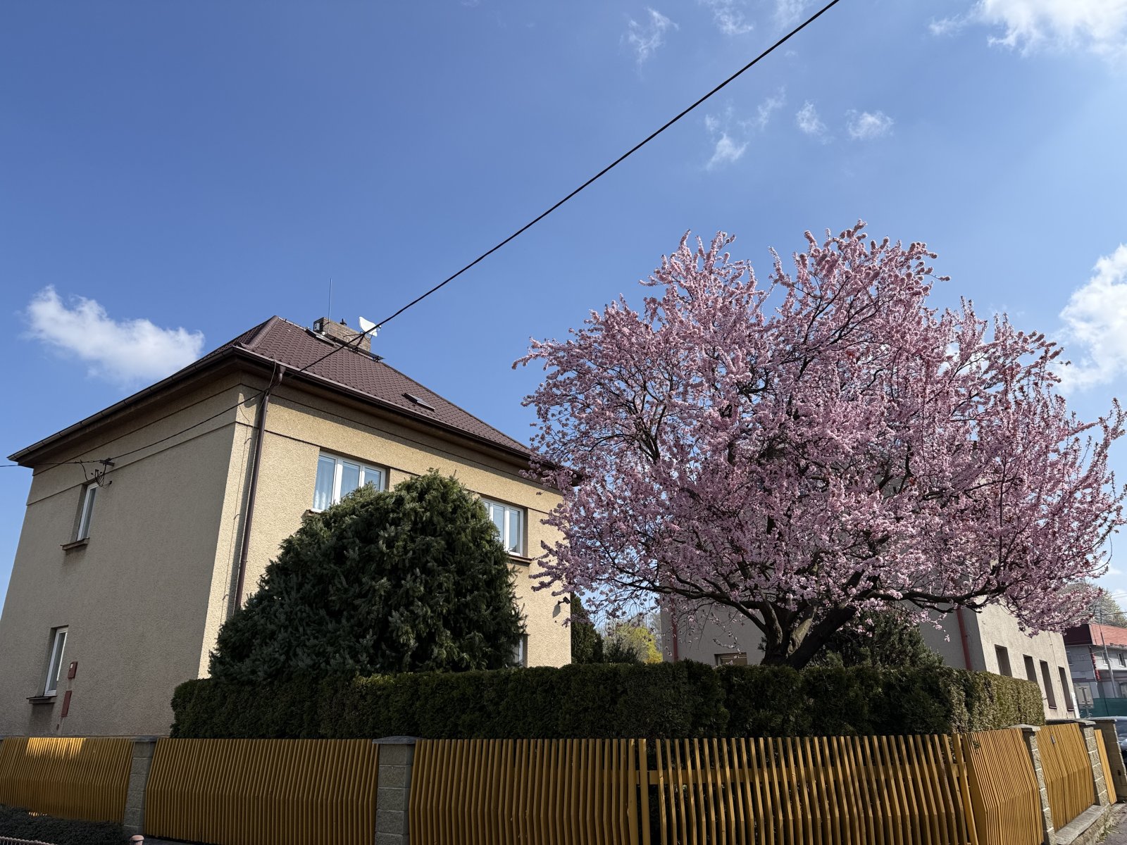 foto: 1