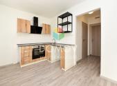 Pronájem bytu, 1+1, 28 m²