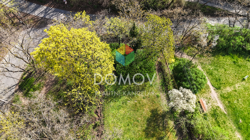 dji-20240217095843-0454-d.jpg