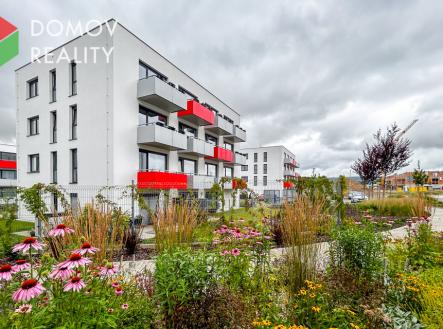 0.jpg | Pronájem bytu, 2+kk, 557 m²